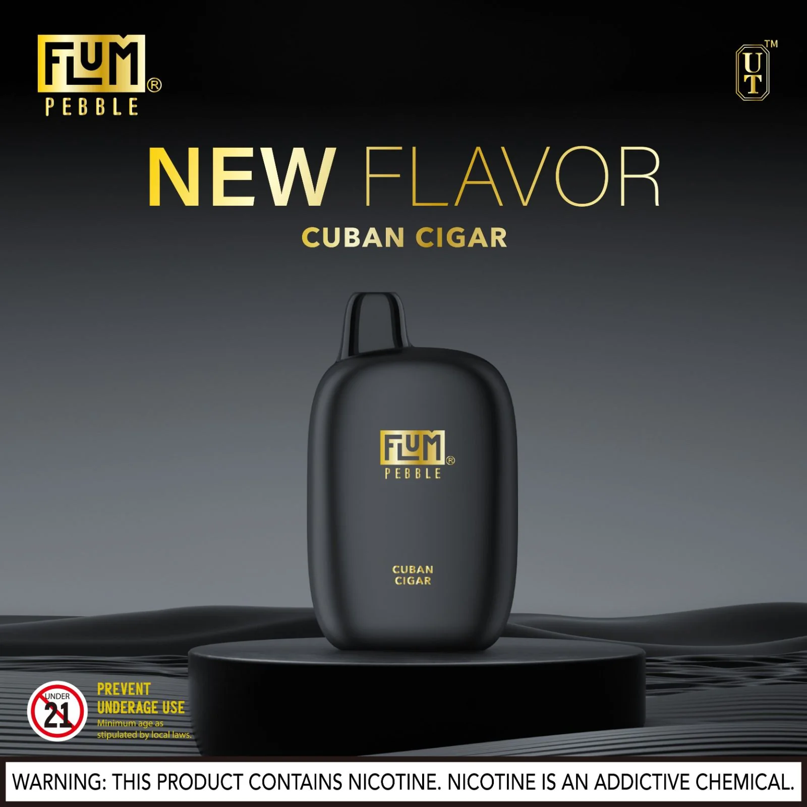 Flum Pebble Vape 6000 Puffs Disposable Device - Image 40