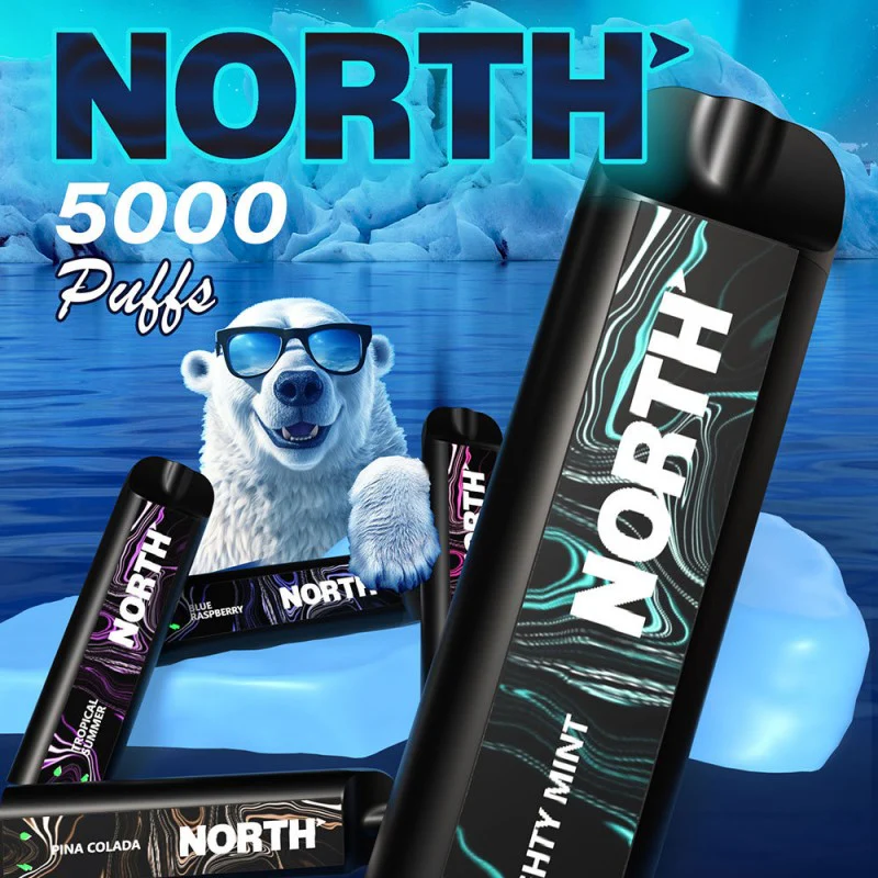 North 5000 Puffs Disposable Vape Device - Image 2