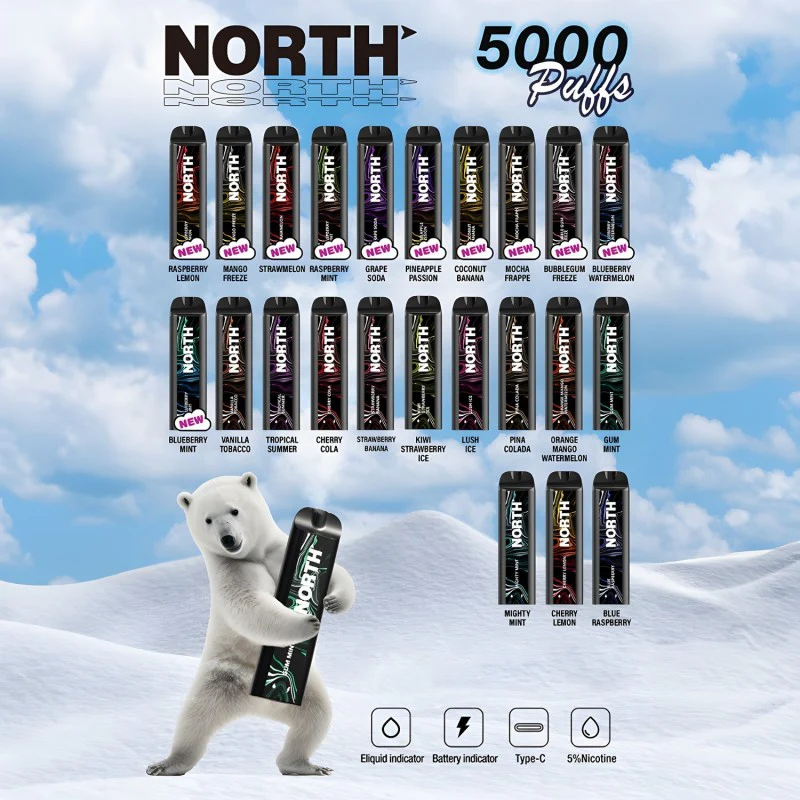 North 5000 Puffs Disposable Vape Device - Image 3