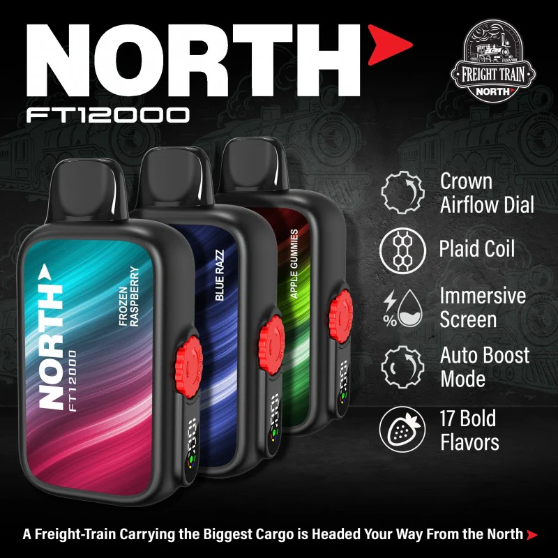 North FT12000 Puffs Disposable Vape Device - Image 2